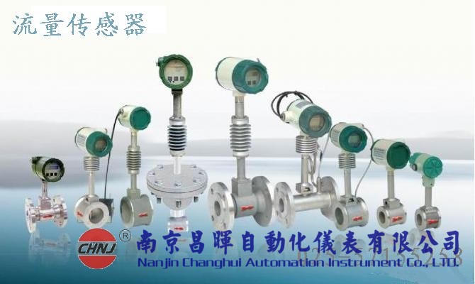 CH50/R1/DN40/M2ES/Ed流量計-南京昌暉